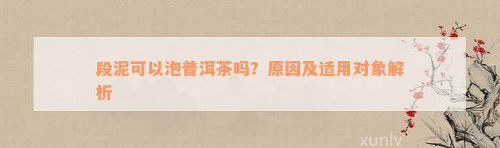 段泥可以泡普洱茶吗？原因及适用对象解析