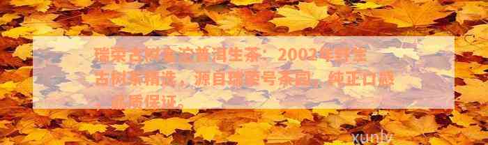 瑞荣古树金沱普洱生茶：2002年野生古树茶精选，源自瑞荣号茶园，纯正口感，品质保证。