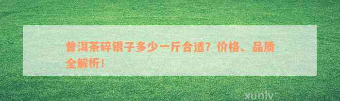 普洱茶碎银子多少一斤合适？价格、品质全解析！