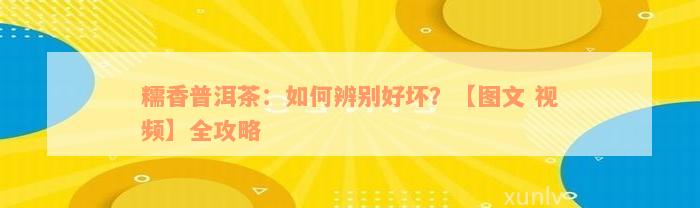 糯香普洱茶：如何辨别好坏？【图文 视频】全攻略