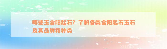 哪些玉含阳起石？了解各类含阳起石玉石及其品牌和种类