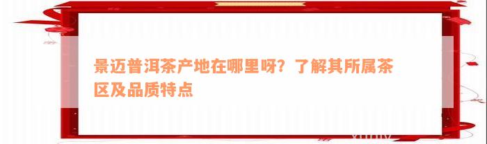 景迈普洱茶产地在哪里呀？了解其所属茶区及品质特点