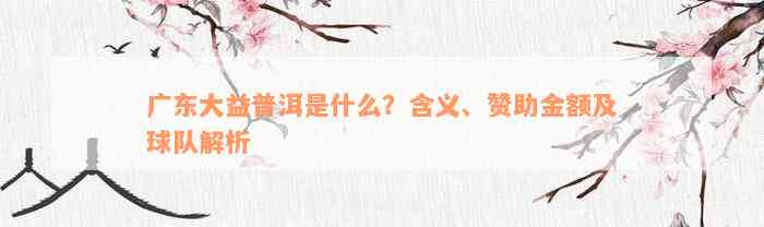 广东大益普洱是什么？含义、赞助金额及球队解析