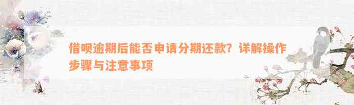 借呗逾期后能否申请分期还款？详解操作步骤与注意事项