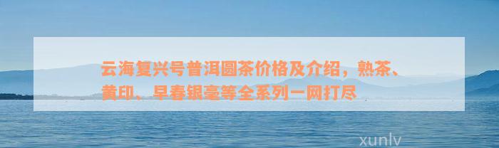 云海复兴号普洱圆茶价格及介绍，熟茶、黄印、早春银毫等全系列一网打尽