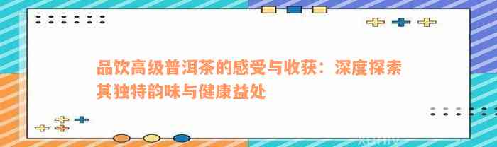 品饮高级普洱茶的感受与收获：深度探索其独特韵味与健康益处