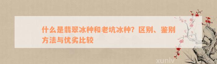 什么是翡翠冰种和老坑冰种？区别、鉴别方法与优劣比较