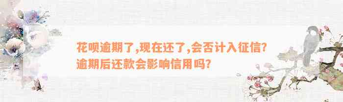 花呗逾期了,现在还了,会否计入征信？逾期后还款会影响信用吗？