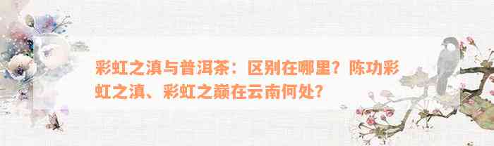 彩虹之滇与普洱茶：区别在哪里？陈功彩虹之滇、彩虹之巅在云南何处？