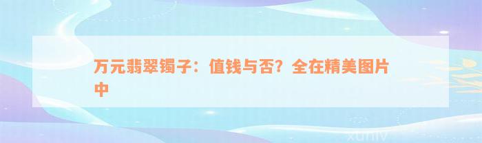 万元翡翠镯子：值钱与否？全在精美图片中