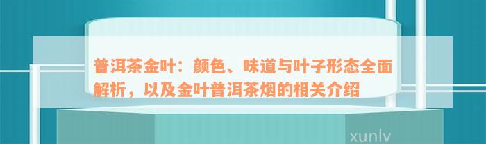 普洱茶金叶：颜色、味道与叶子形态全面解析，以及金叶普洱茶烟的相关介绍