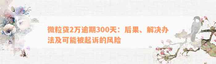 微粒贷2万逾期300天：后果、解决办法及可能被起诉的风险