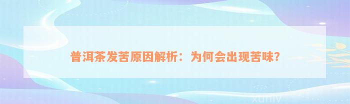 普洱茶发苦原因解析：为何会出现苦味？