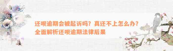 还款逾期会被起诉吗？真还不上怎么办？全面解析还款逾期法律后果