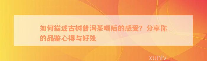 如何描述古树普洱茶喝后的感受？分享你的品鉴心得与好处