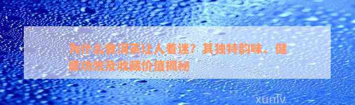 为什么普洱茶让人着迷？其独特韵味、健康功效及收藏价值揭秘