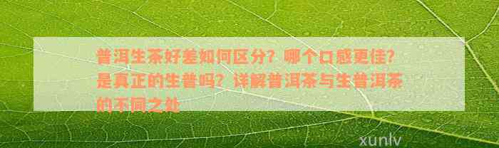 普洱生茶好差如何区分？哪个口感更佳？是真正的生普吗？详解普洱茶与生普洱茶的不同之处