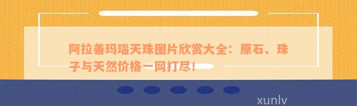 阿拉善玛瑙天珠图片欣赏大全：原石、珠子与天然价格一网打尽！