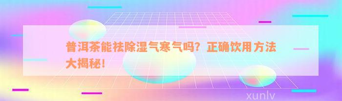 普洱茶能祛除湿气寒气吗？正确饮用方法大揭秘！