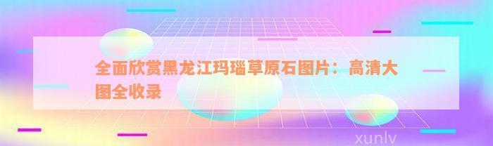 全面欣赏黑龙江玛瑙草原石图片：高清大图全收录