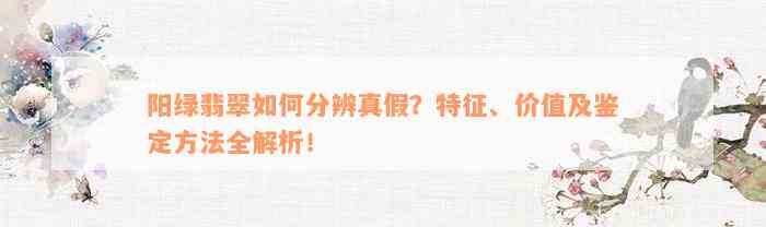 阳绿翡翠如何分辨真假？特征、价值及鉴定方法全解析！