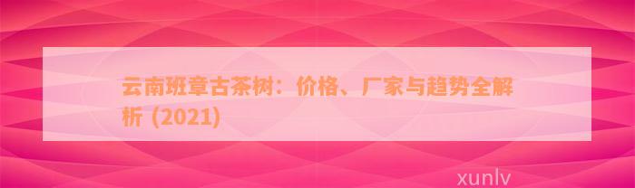 云南班章古茶树：价格、厂家与趋势全解析 (2021)