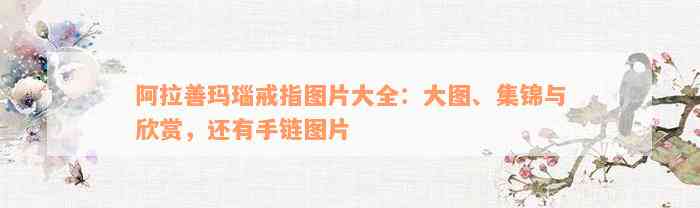 阿拉善玛瑙戒指图片大全：大图、集锦与欣赏，还有手链图片