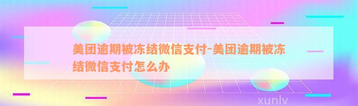 美团逾期被冻结微信支付-美团逾期被冻结微信支付怎么办