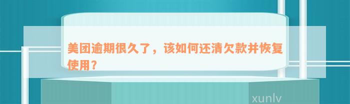 美团逾期很久了，该如何还清欠款并恢复使用？