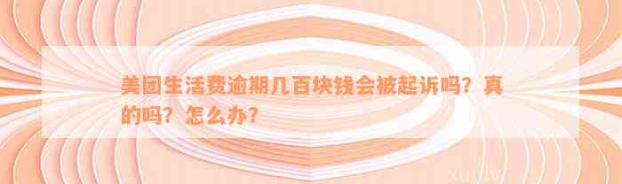 美团生活费逾期几百块钱会被起诉吗？真的吗？怎么办？