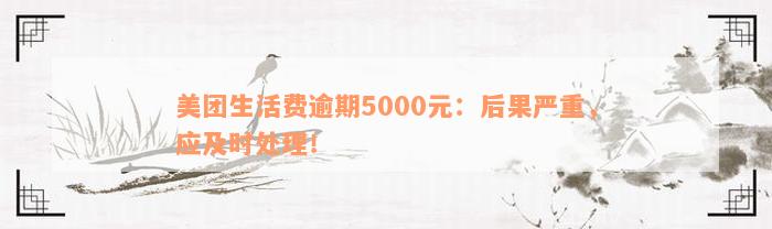 美团生活费逾期5000元：后果严重，应及时处理！