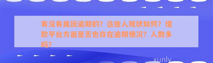 有没有美团逾期的？这些人现状如何？借款平台方面是否也存在逾期情况？人数多吗？