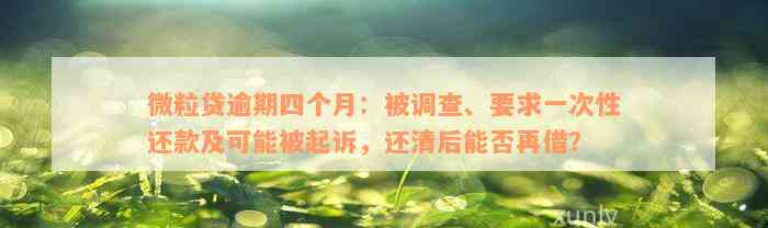 微粒贷逾期四个月：被调查、要求一次性还款及可能被起诉，还清后能否再借？