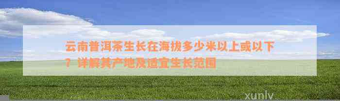 云南普洱茶生长在海拔多少米以上或以下？详解其产地及适宜生长范围