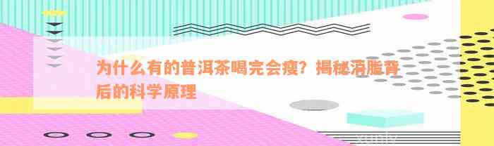 为什么有的普洱茶喝完会瘦？揭秘消脂背后的科学原理