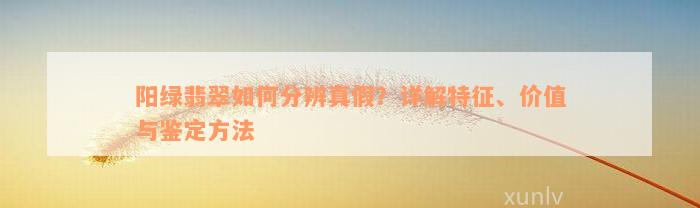 阳绿翡翠如何分辨真假？详解特征、价值与鉴定方法