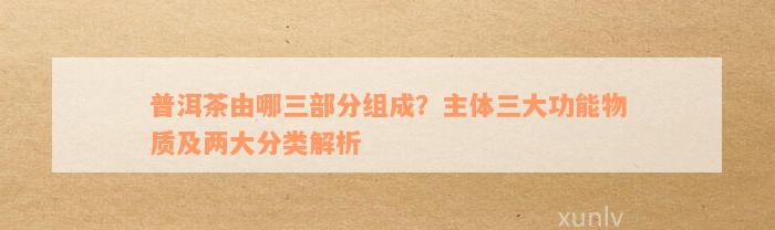 普洱茶由哪三部分组成？主体三大功能物质及两大分类解析