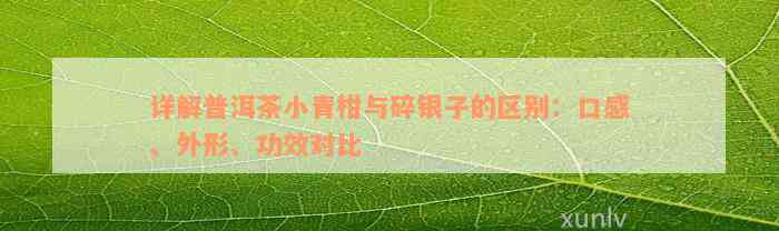 详解普洱茶小青柑与碎银子的区别：口感、外形、功效对比