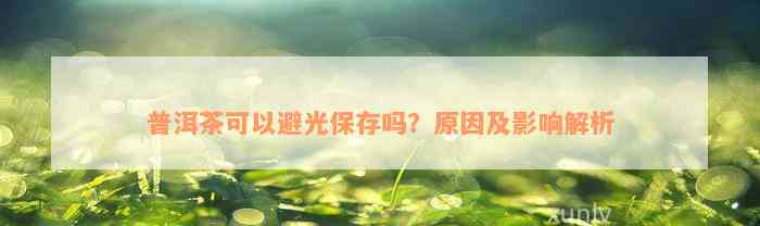 普洱茶可以避光保存吗？原因及影响解析