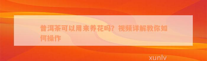 普洱茶可以用来养花吗？视频详解教你如何操作