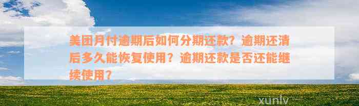 美团月付逾期后如何分期还款？逾期还清后多久能恢复使用？逾期还款是否还能继续使用？