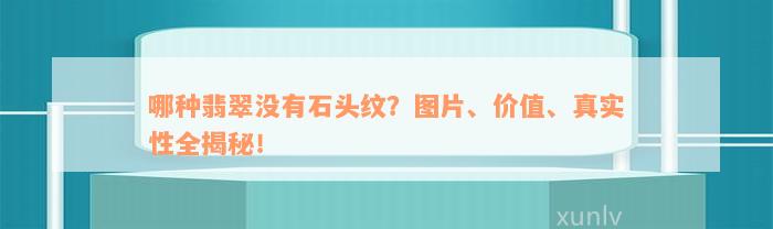 哪种翡翠没有石头纹？图片、价值、真实性全揭秘！