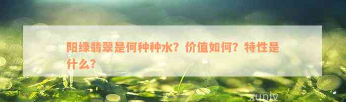 阳绿翡翠是何种种水？价值如何？特性是什么？