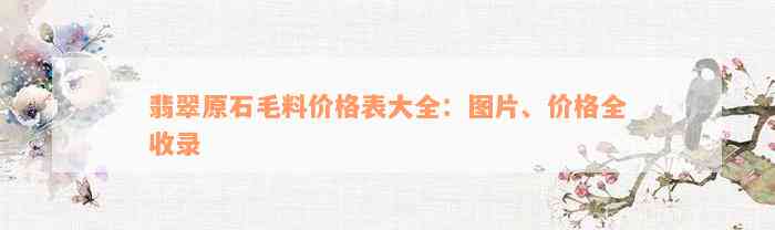 翡翠原石毛料价格表大全：图片、价格全收录