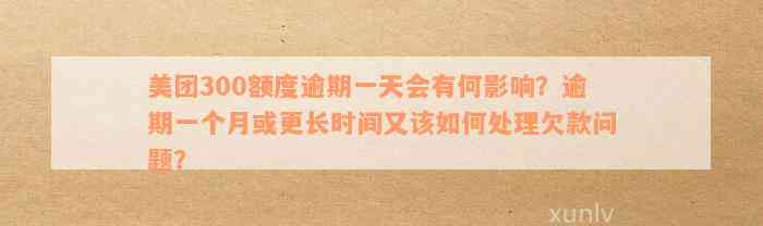 美团300额度逾期一天会有何影响？逾期一个月或更长时间又该如何处理欠款问题？