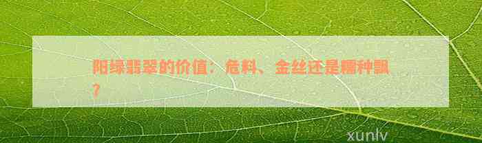 阳绿翡翠的价值：危料、金丝还是糯种飘？