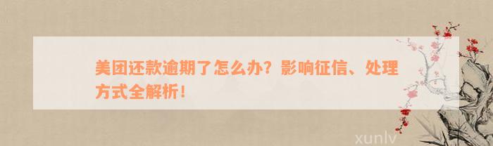 美团还款逾期了怎么办？影响征信、处理方式全解析！