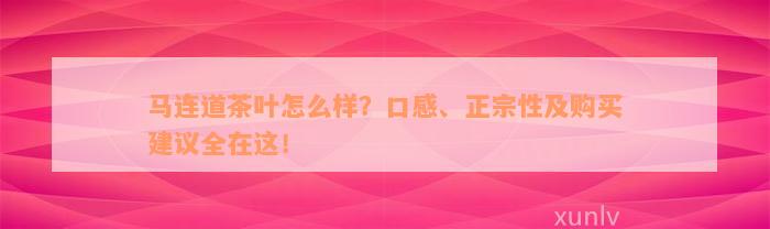 马连道茶叶怎么样？口感、正宗性及购买建议全在这！