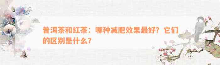 普洱茶和红茶：哪种减肥效果最好？它们的区别是什么？