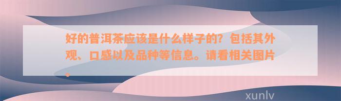 好的普洱茶应该是什么样子的？包括其外观、口感以及品种等信息。请看相关图片。